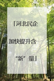 河北民企加快提升含“新”量